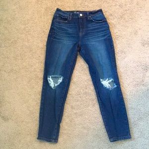 High Rise Distressed Jeans |  Size 9